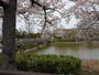 公園　万代池公園（公園）まで735m