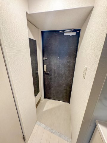 エスリード大阪NEXUSの玄関写真