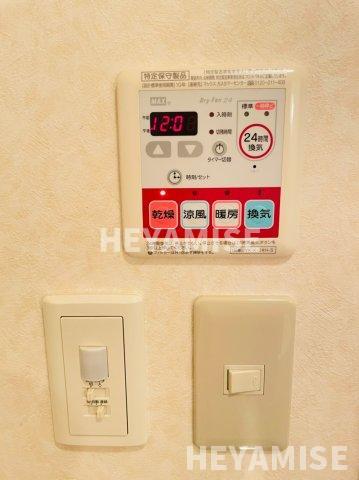 サウスレディのその他写真