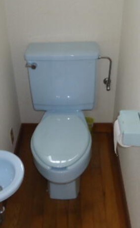 ＪＲ総武線 阿佐ケ谷駅 徒歩6分 2階建 築74年のトイレ写真
