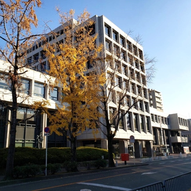 【池田市栄本町長屋・店舗兼住宅の役所】