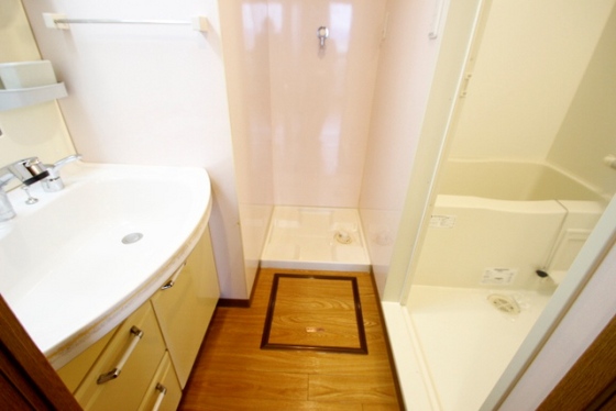 洗面設備　※別号室の写真です