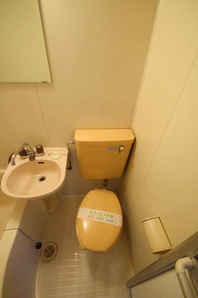 【エステート吉武のトイレ】