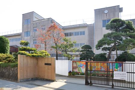 中学校　柏市立松葉中学校（中学校）まで653m
