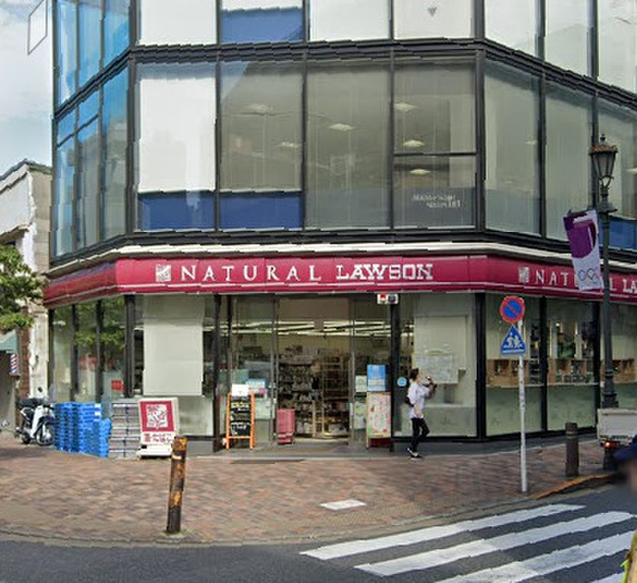 コンビニ　ナチュラルローソン広尾五丁目店（コンビニ）まで107m