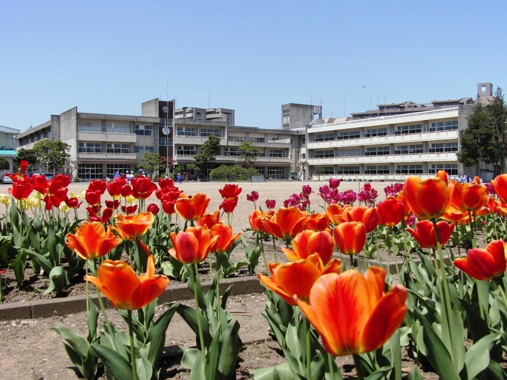 小学校　仁王小学校（小学校）まで431m