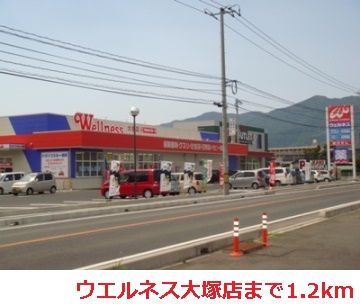 ドラックストア　ウエルネス大塚店（ドラッグストア）まで1200m