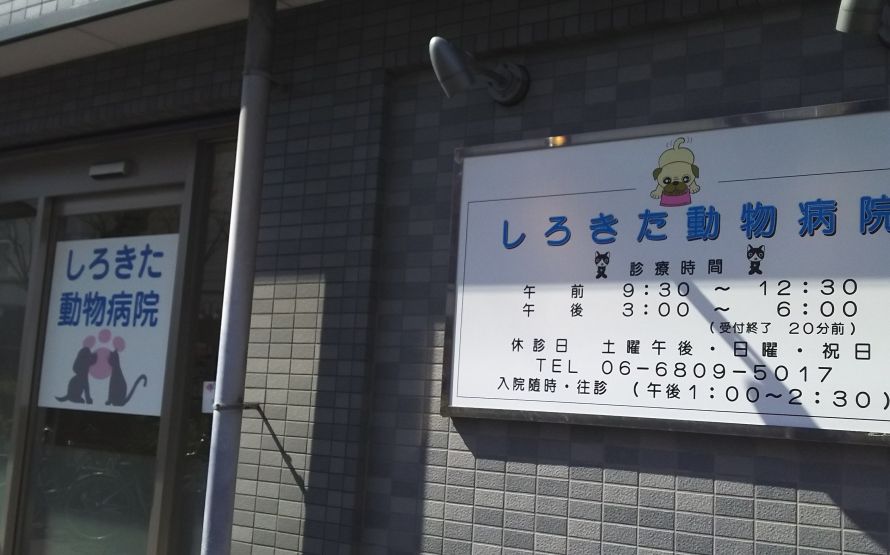 病院　しろきた動物病院（病院）まで380m