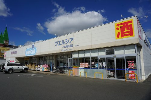 ドラックストア　ウエルシア小山雨ケ谷店（ドラッグストア）まで861m