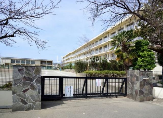中学校　所沢市立南陵中学校（中学校）まで797m