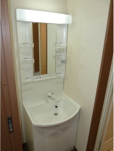 洗面設備　シャワードレッサー付きです！