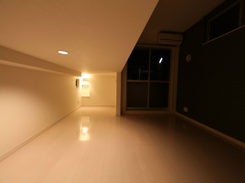 その他部屋・スペース　アンダーロフト6.4帖（収納としてもお部屋としても使えます）