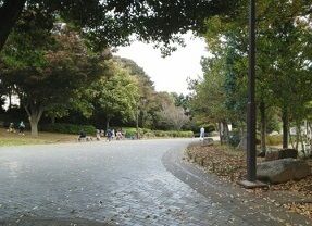 公園　花島公園（公園）まで1590m