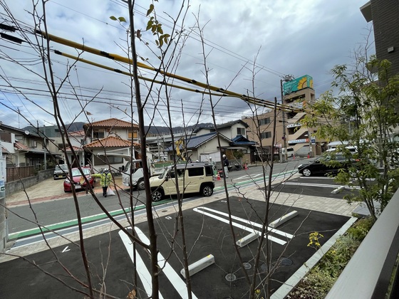 庭