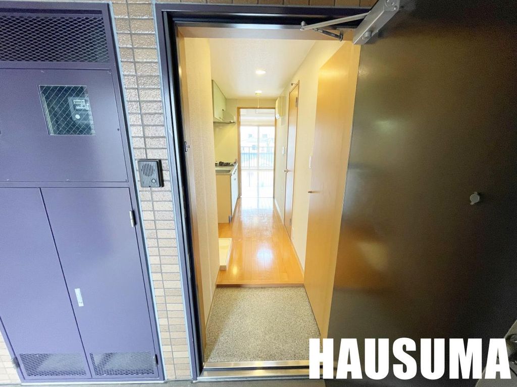 玄関　※他号室の参考写真です。