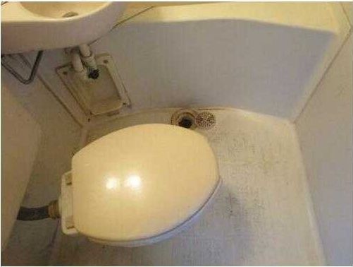 東武野田線 七里駅 徒歩5分 4階建 築37年のトイレ写真