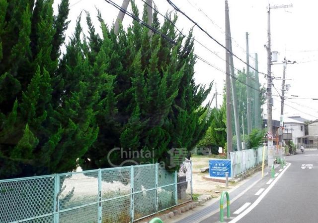 その他　スギドラッグ　総持寺店（その他）まで300m