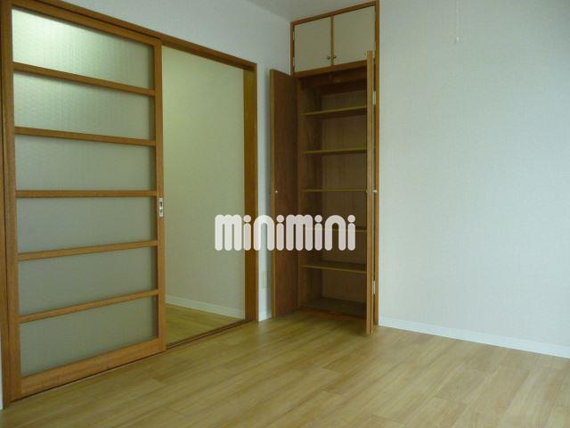 その他　洋室側の収納スペースです