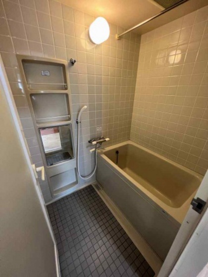 バス・シャワールーム　※別部屋の写真です