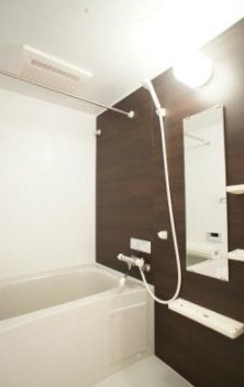 バス・シャワールーム　コンパクトで使いやすいお風呂です
