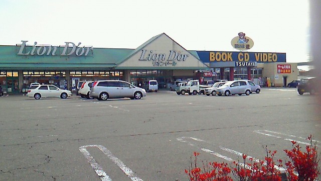 スーパー　リオン・ドール大崎店（スーパー）まで1487m