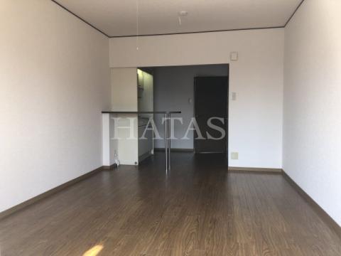居室・リビング　同物件別部屋です。