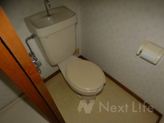 メゾン柳下のトイレ写真