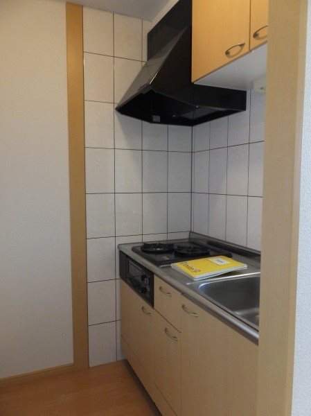 エクセレントビレッジIIのキッチン写真