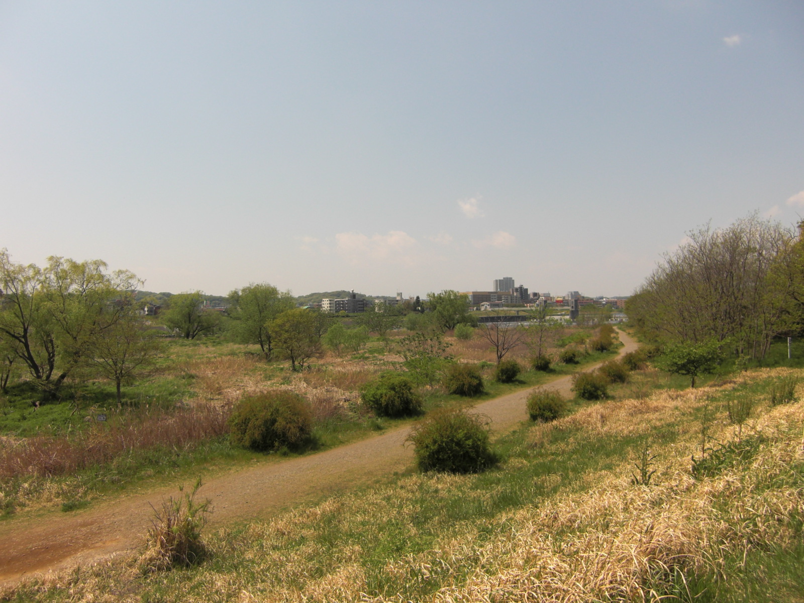 【ビュータマガワの公園】