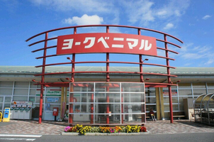 その他　近隣にスーパー有り！