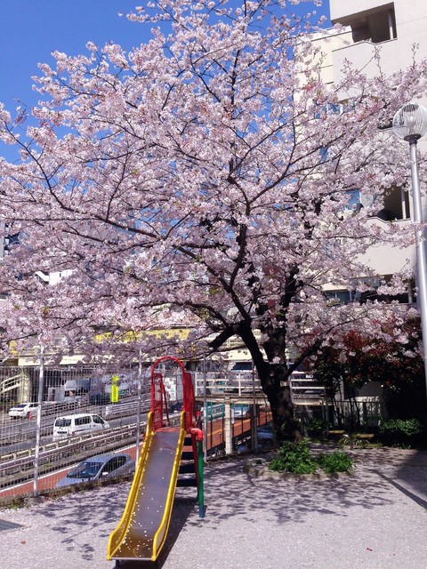 【HF銀座レジデンスEASTIIの公園】