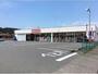 ドラックストア　ドラッグスギ片岡店（ドラッグストア）まで1699m