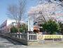 幼稚園・保育園　幼保連携型認定こども園ひだまりこども園（幼稚園・保育園）まで447m