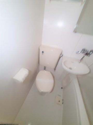 トイレ　※他号室の写真です