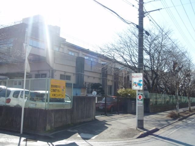 小学校　柏市立松葉第二小学校（小学校）まで579m