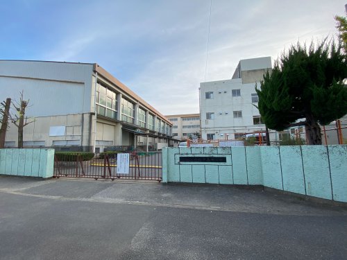 中学校　松戸市立新松戸南中学校（中学校）まで447m