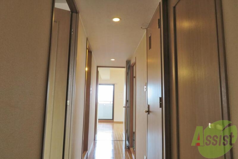 玄関　玄関から見たお部屋です。広さがよく分かります。