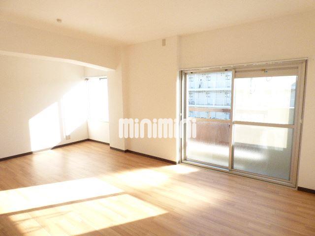 居室・リビング　１２帖の広々したお部屋です