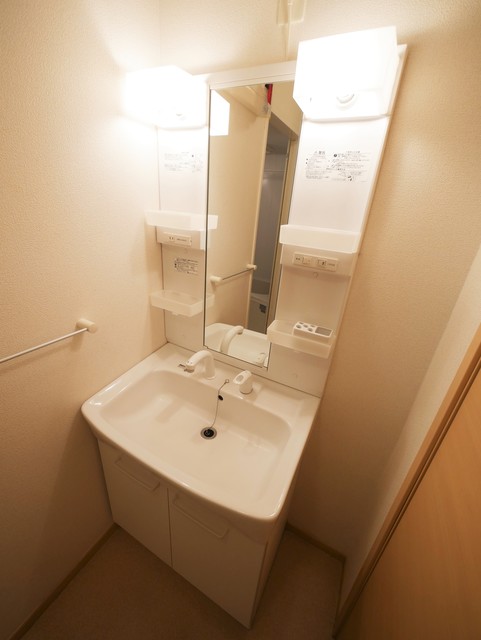 洗面設備　★人気の独立洗面台はシャワー付きです★