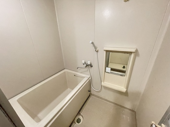 バス・シャワールーム　※別部屋の写真です