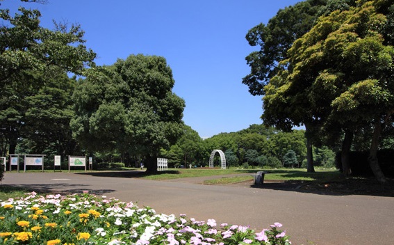 【富ヶ谷スプリングスの公園】