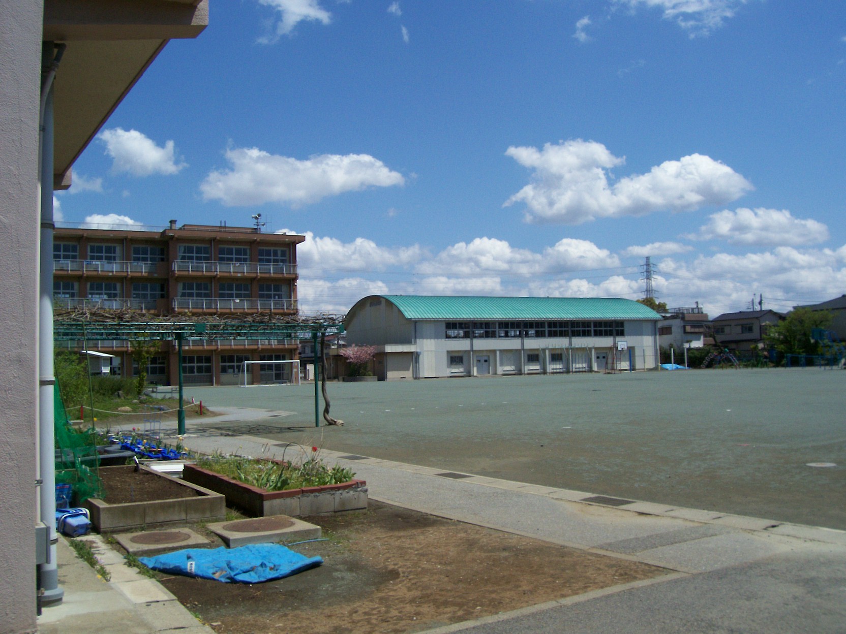 【グランドメゾン幕張の小学校】