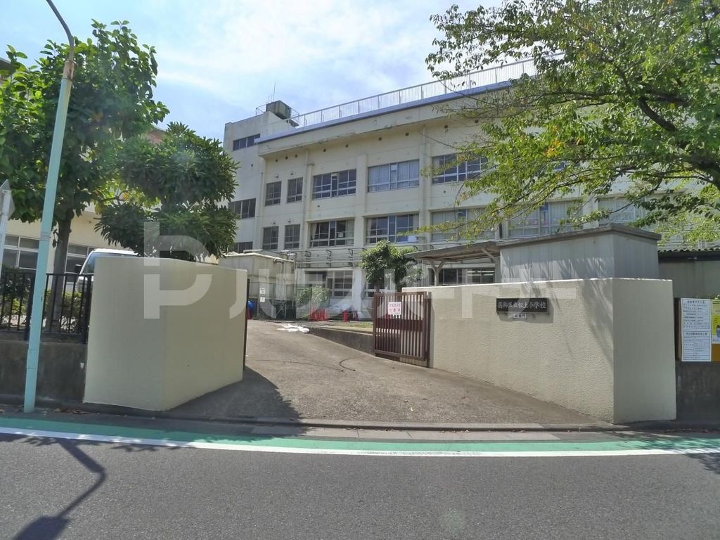 小学校　葛飾区立松上小学校（小学校）まで260m