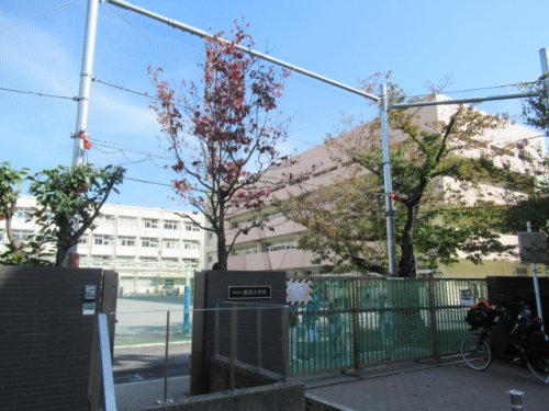 小学校　横浜市立鶴見小学校（小学校）まで1076m
