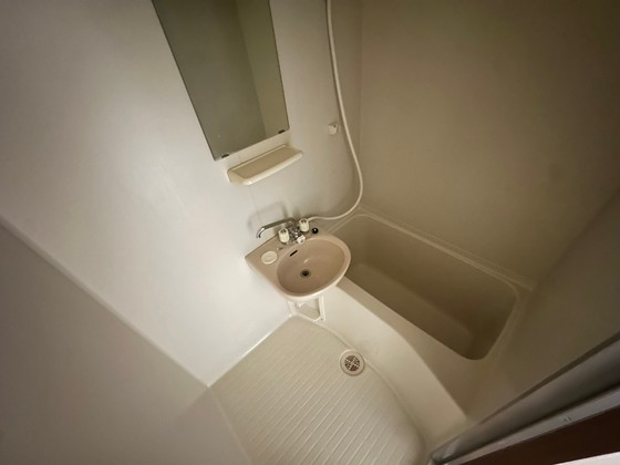 バス・シャワールーム　※別部屋の写真です