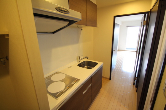 キッチン　※他号室の写真です。