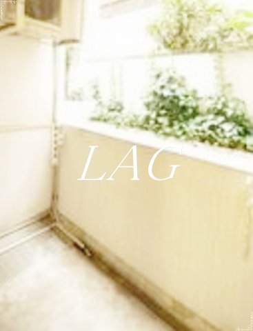 バルコニー　バルコニーです。