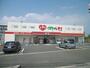 ドラックストア　くすりのレデイ新浜店（ドラッグストア）まで1920m