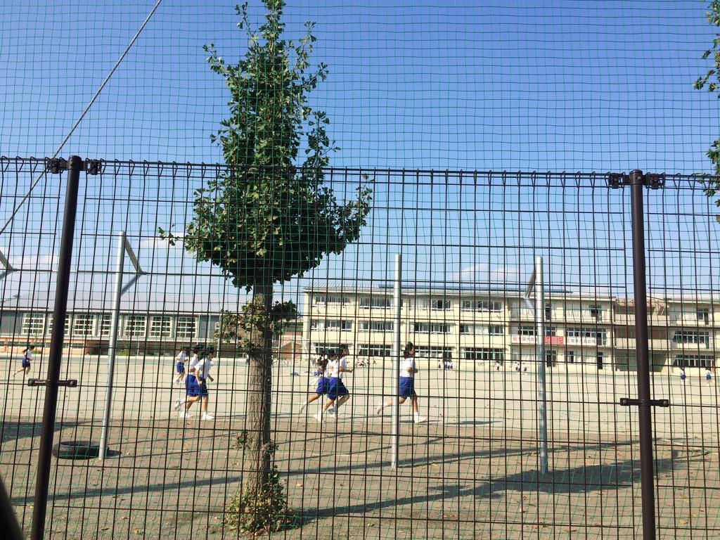 中学校　玉村町立玉村中学校（中学校）まで856m