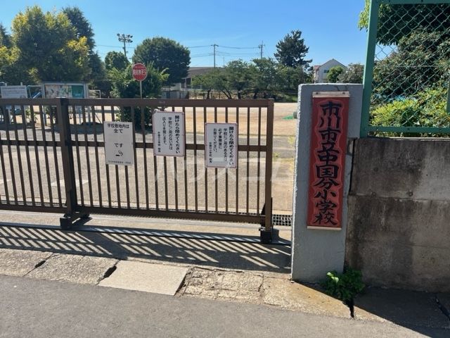 小学校　市川市立中国分小学校（小学校）まで308m